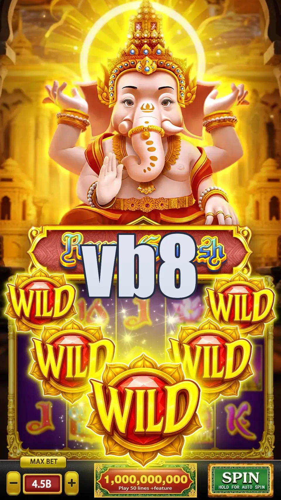 vb8 লগইন